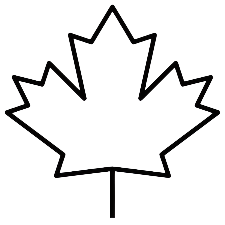 Outline of a maple leaf on a white background